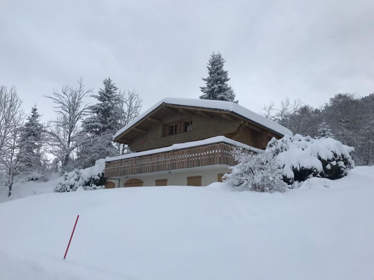 Chalet Les Marmottes Saint-Jean-de-Sixt Eksteriør bilde