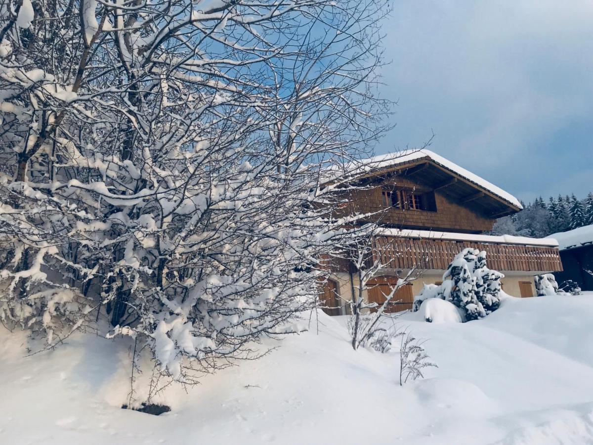 Chalet Les Marmottes Saint-Jean-de-Sixt Eksteriør bilde